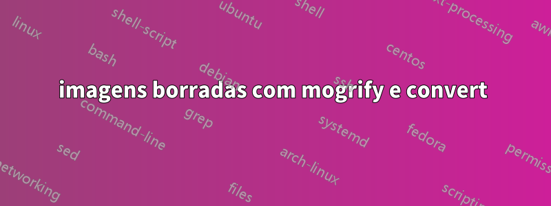 imagens borradas com mogrify e convert