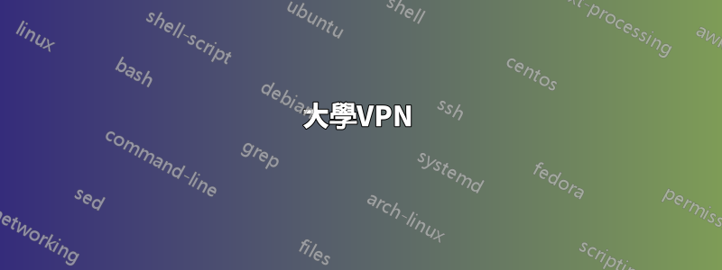 大學VPN