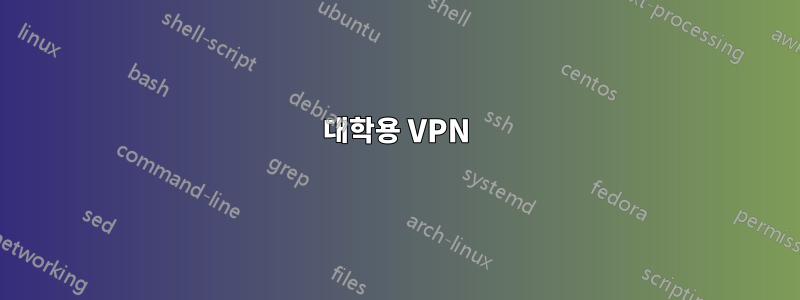 대학용 VPN