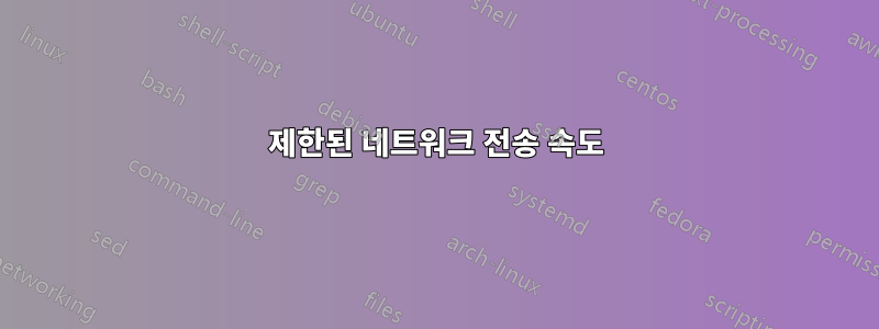 제한된 네트워크 전송 속도