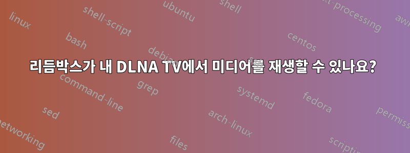 리듬박스가 내 DLNA TV에서 미디어를 재생할 수 있나요?