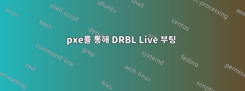 pxe를 통해 DRBL Live 부팅