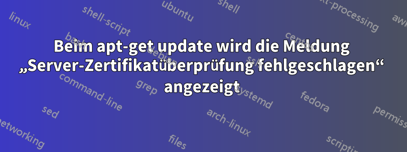 Beim apt-get update wird die Meldung „Server-Zertifikatüberprüfung fehlgeschlagen“ angezeigt