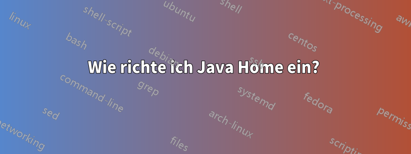 Wie richte ich Java Home ein?