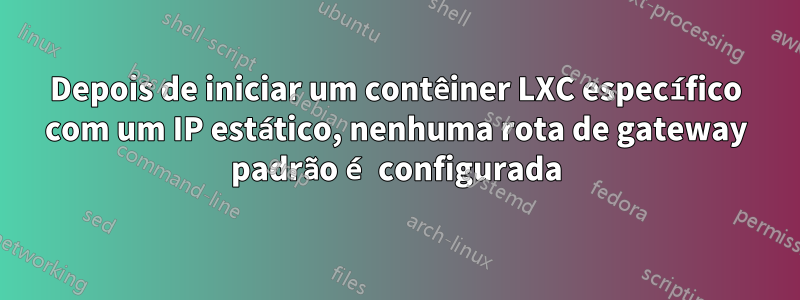 Depois de iniciar um contêiner LXC específico com um IP estático, nenhuma rota de gateway padrão é configurada