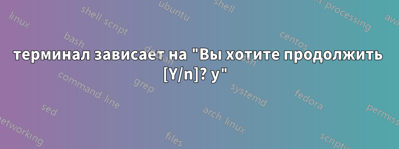 терминал зависает на "Вы хотите продолжить [Y/n]? y"