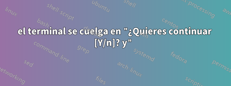 el terminal se cuelga en "¿Quieres continuar [Y/n]? y"