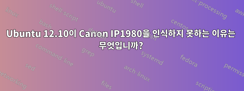 Ubuntu 12.10이 Canon IP1980을 인식하지 못하는 이유는 무엇입니까?