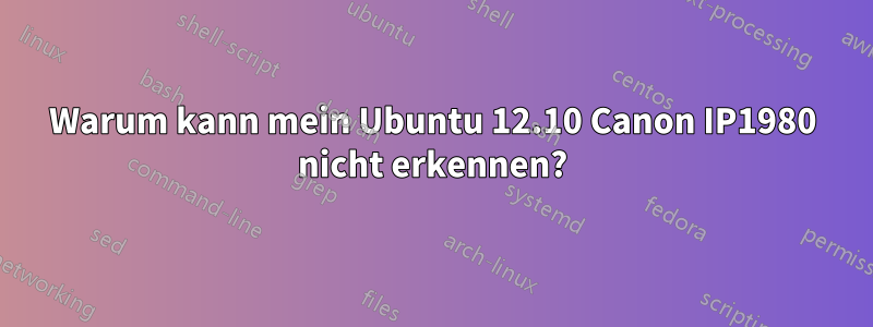 Warum kann mein Ubuntu 12.10 Canon IP1980 nicht erkennen?