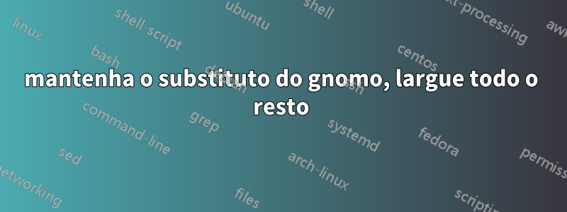 mantenha o substituto do gnomo, largue todo o resto