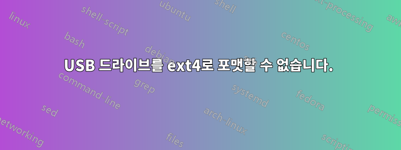 USB 드라이브를 ext4로 포맷할 수 없습니다.