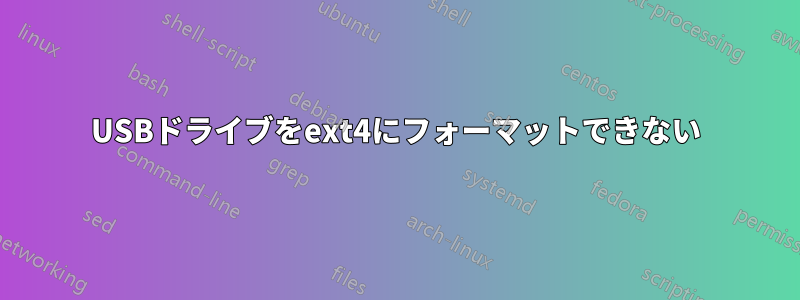 USBドライブをext4にフォーマットできない