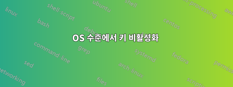 OS 수준에서 키 비활성화