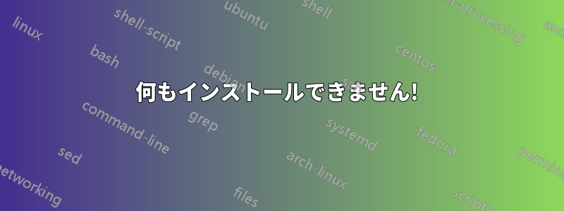 何もインストールできません! 