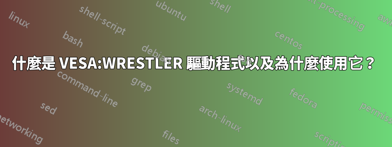 什麼是 VESA:WRESTLER 驅動程式以及為什麼使用它？