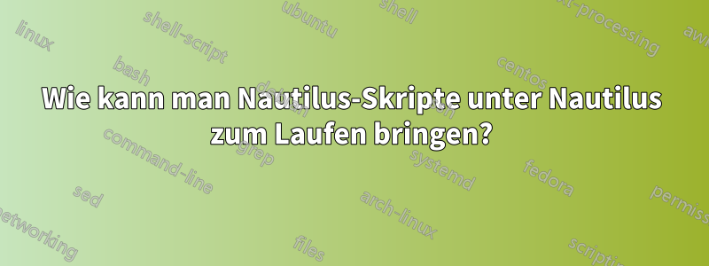 Wie kann man Nautilus-Skripte unter Nautilus zum Laufen bringen?