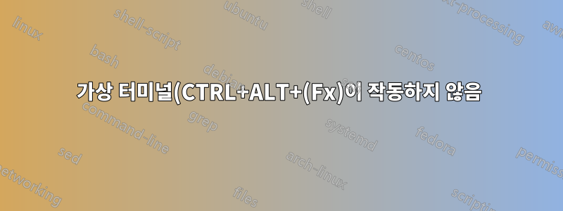 가상 터미널(CTRL+ALT+(Fx)이 작동하지 않음