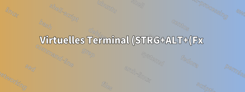 Virtuelles Terminal (STRG+ALT+(Fx) funktioniert nicht