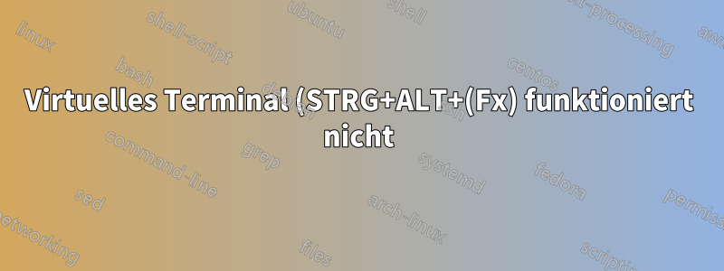 Virtuelles Terminal (STRG+ALT+(Fx) funktioniert nicht