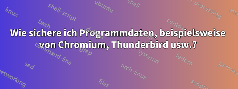 Wie sichere ich Programmdaten, beispielsweise von Chromium, Thunderbird usw.?