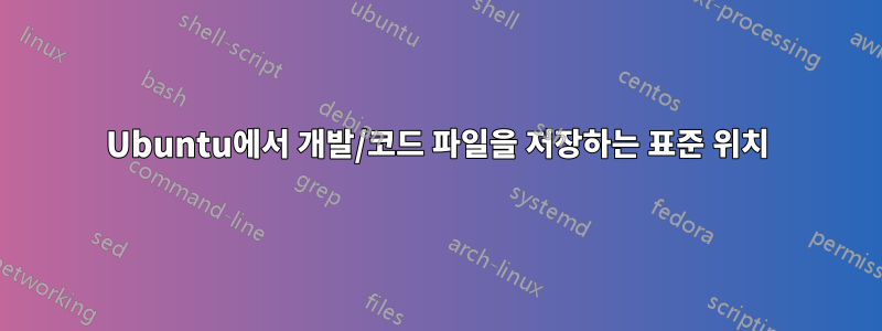 Ubuntu에서 개발/코드 파일을 저장하는 표준 위치