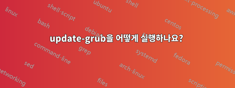 update-grub을 어떻게 실행하나요?