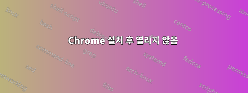 Chrome 설치 후 열리지 않음