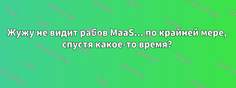 Жужу не видит рабов MaaS... по крайней мере, спустя какое-то время?