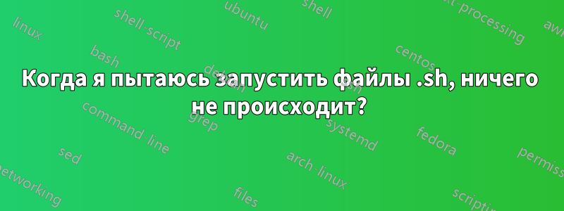 Когда я пытаюсь запустить файлы .sh, ничего не происходит?