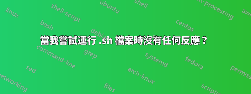 當我嘗試運行 .sh 檔案時沒有任何反應？