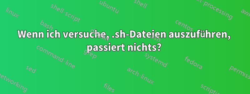 Wenn ich versuche, .sh-Dateien auszuführen, passiert nichts?