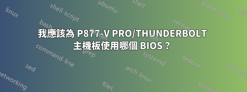 我應該為 P877-V PRO/THUNDERBOLT 主機板使用哪個 BIOS？