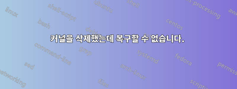 커널을 삭제했는데 복구할 수 없습니다.