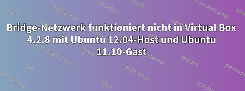 Bridge-Netzwerk funktioniert nicht in Virtual Box 4.2.8 mit Ubuntu 12.04-Host und Ubuntu 11.10-Gast