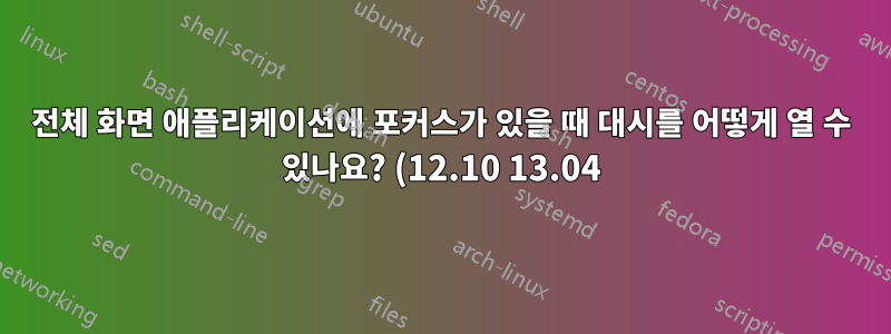 전체 화면 애플리케이션에 포커스가 있을 때 대시를 어떻게 열 수 있나요? (12.10 13.04)
