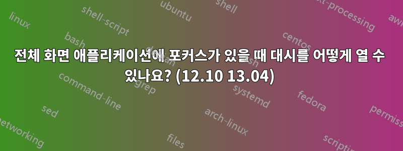 전체 화면 애플리케이션에 포커스가 있을 때 대시를 어떻게 열 수 있나요? (12.10 13.04)