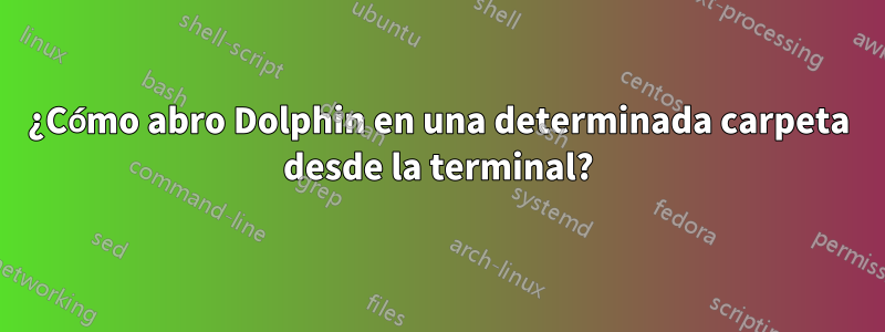 ¿Cómo abro Dolphin en una determinada carpeta desde la terminal?