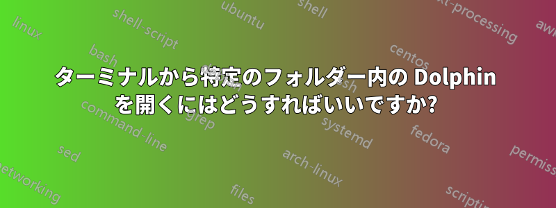 ターミナルから特定のフォルダー内の Dolphin を開くにはどうすればいいですか?