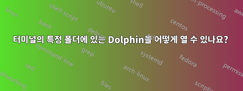 터미널의 특정 폴더에 있는 Dolphin을 어떻게 열 수 있나요?