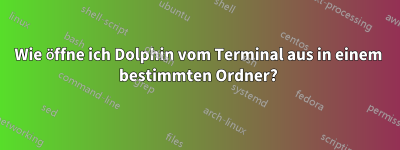 Wie öffne ich Dolphin vom Terminal aus in einem bestimmten Ordner?