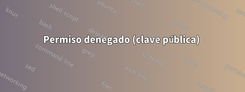 Permiso denegado (clave pública)