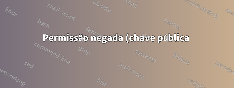 Permissão negada (chave pública)