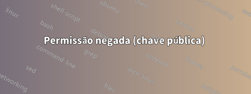 Permissão negada (chave pública)