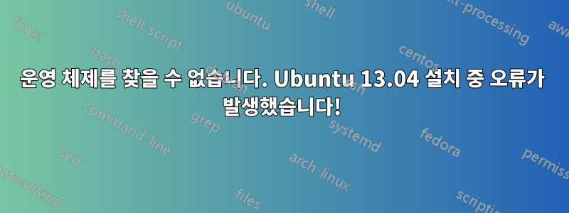 운영 체제를 찾을 수 없습니다. Ubuntu 13.04 설치 중 오류가 발생했습니다!