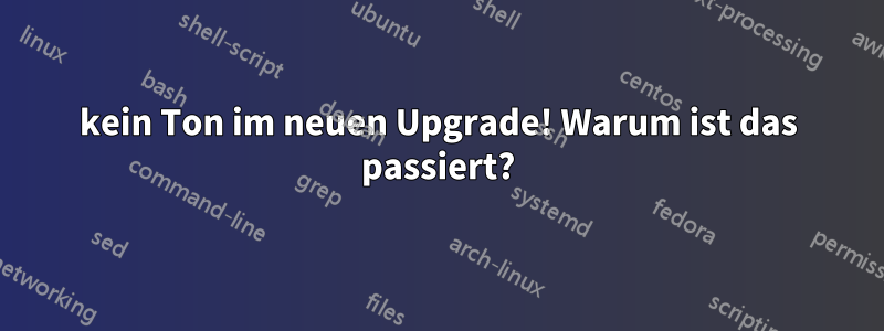 kein Ton im neuen Upgrade! Warum ist das passiert?