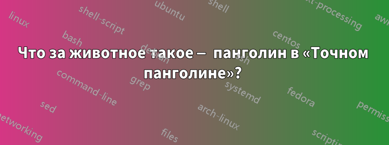 Что за животное такое — панголин в «Точном панголине»?