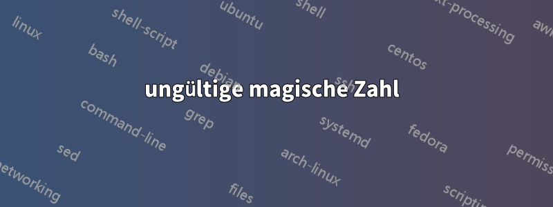 ungültige magische Zahl 