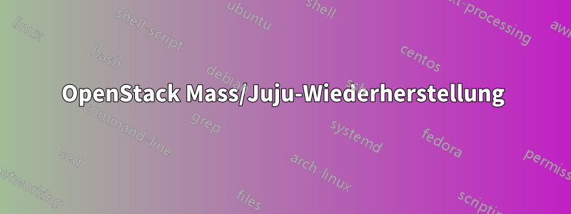 OpenStack Mass/Juju-Wiederherstellung