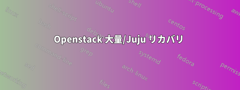 Openstack 大量/Juju リカバリ