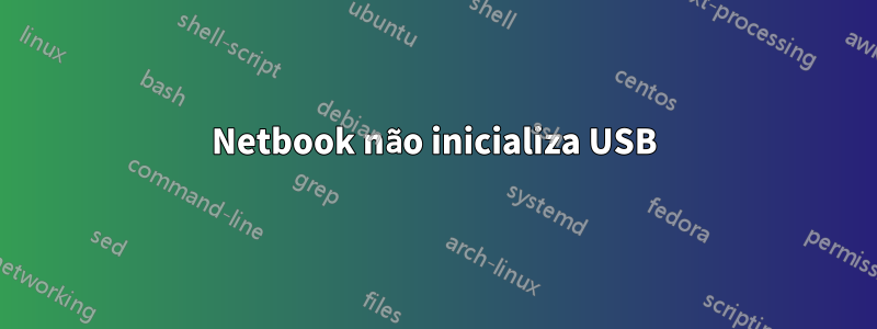 Netbook não inicializa USB